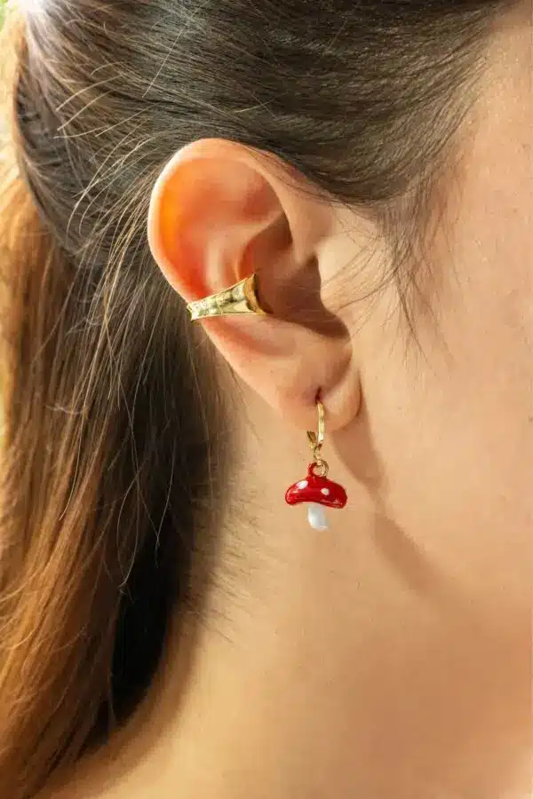 Aretes Fungí